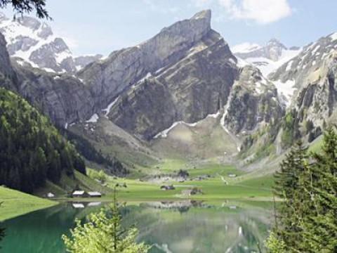 Wilde Schweiz