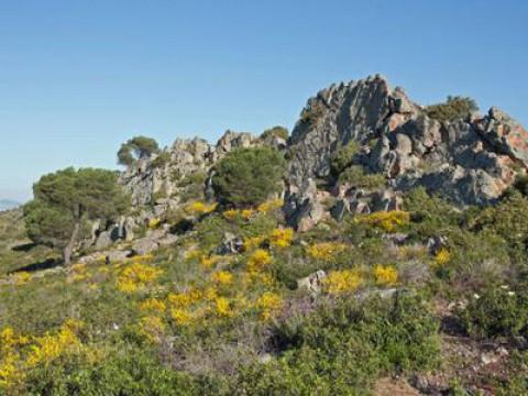 Mit dem Frühling durch Europa (1) – Vom Mittelmeer in die Alpen
