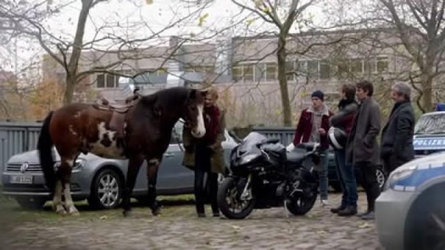 Die tote Boxerin
