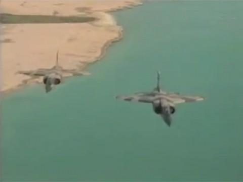 Desert Wings