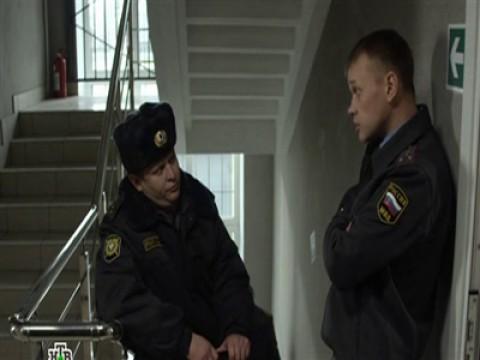 серия