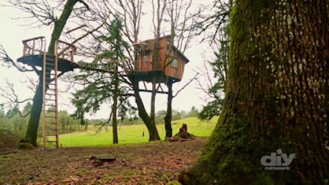 Tree Climber Gets a Treehouse