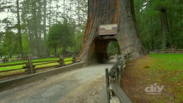 Beautiful Redwood Treehouse