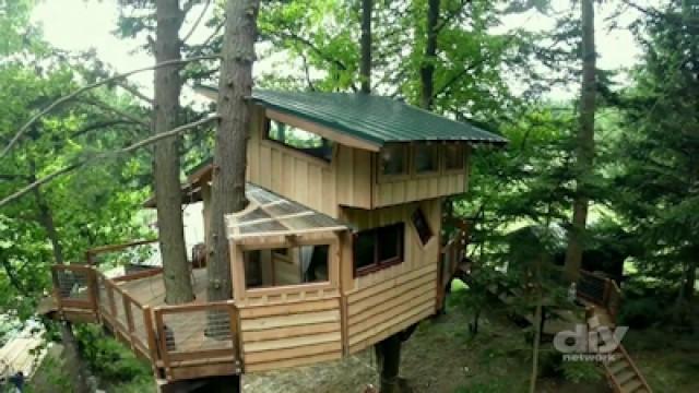 Anniversary in the Trees