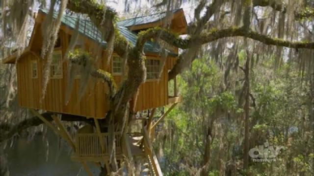 100-Year Old Oak Treehouse