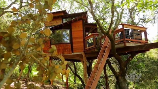 A Hi-Tech Treehouse