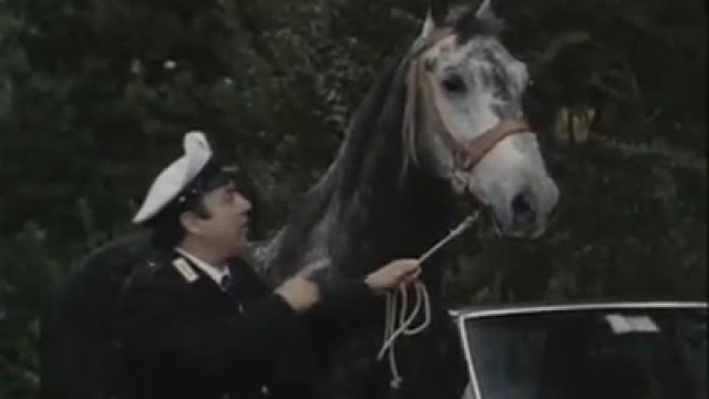 Campa cavallo
