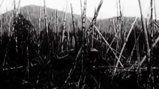 Das Rätsel von Tunguska