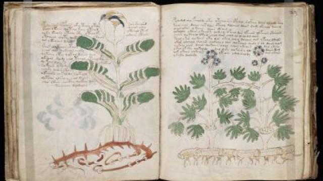Das Voynich Manuskript