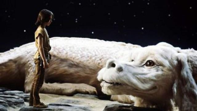 Drachen