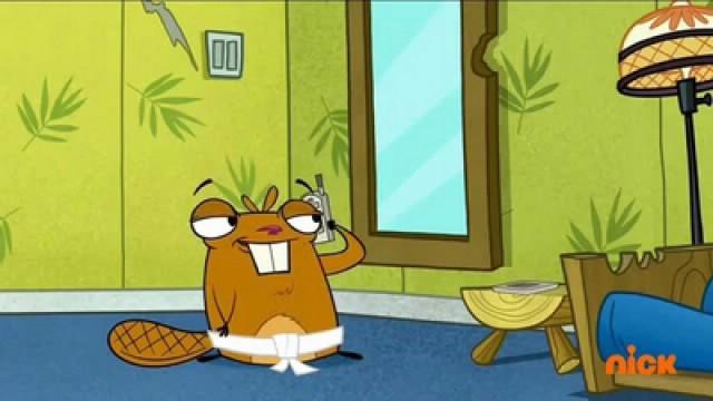 Beaver Fever