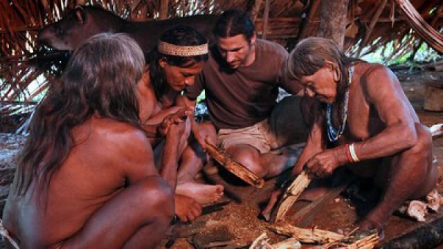 Rainforest Masters