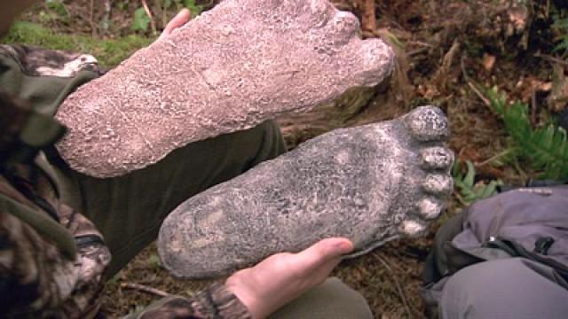 Sulle tracce di Bigfoot	