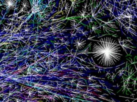 The Web Is Not The Net