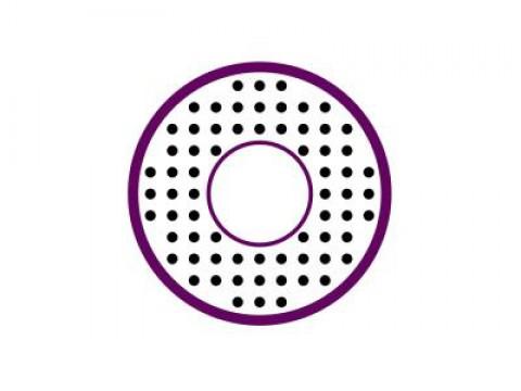 Fixed Points