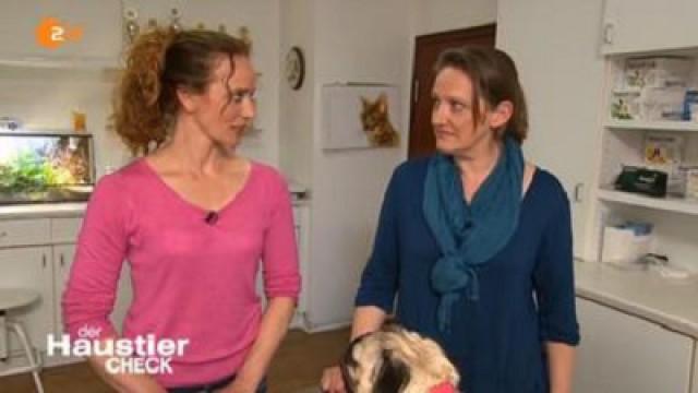 Folge 2