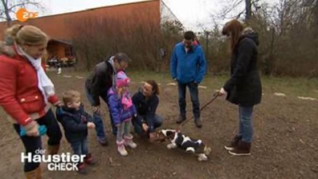 Folge 3
