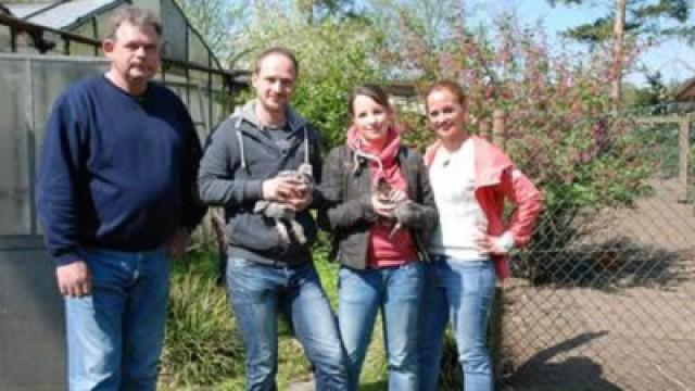 Das Ei vom Huhn und der schlaue Hund