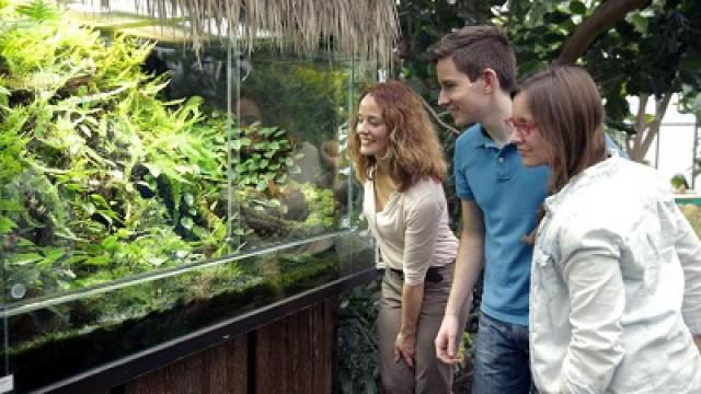 Exotische Wünsche und ein Welpen-Test