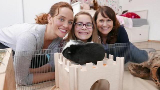 Hundekumpel gesucht!