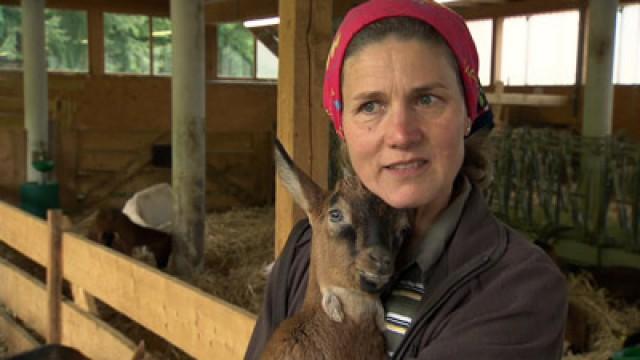 In den Hochschwarzwald zu Barbara Rees