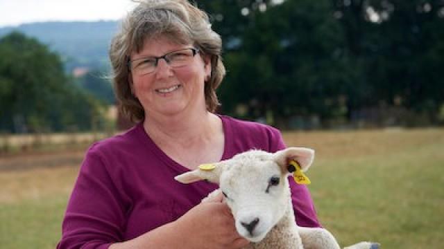 Ein herrliches Tierreich im Tecklenburger Land
