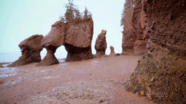 Bay of Fundy, New Brunswick