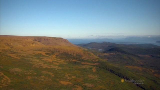 Newfoundland West