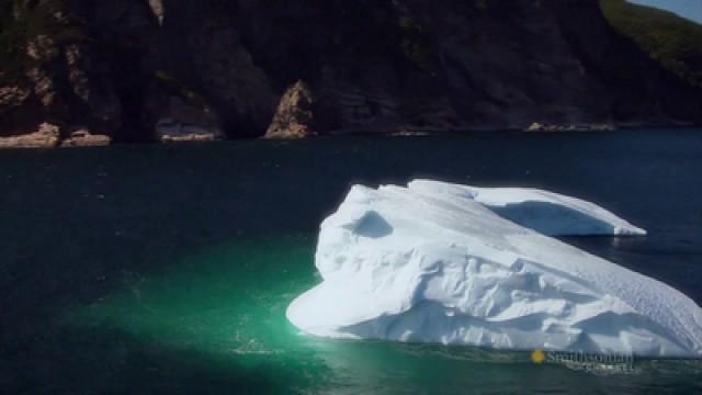 Newfoundland's North Coast