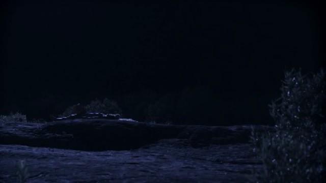 Grávidas de Luz