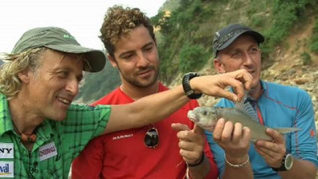 David Bisbal (Nepali Rivers)