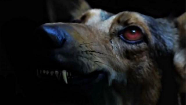 El familiar