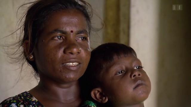 Buffer Zone - Sri Lanka - zehn Jahre nach dem Tsunami
