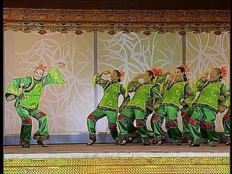 2006 Bing-Xu Year of the Horse