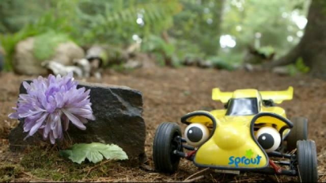 Flower Power