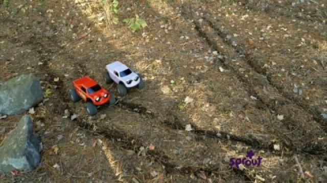 Sandy Tracks