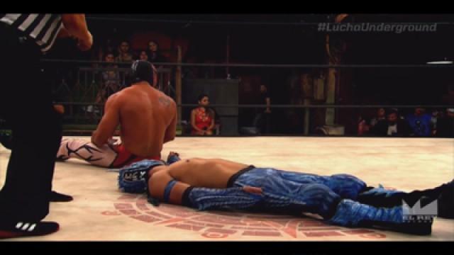 Last Luchador Standing