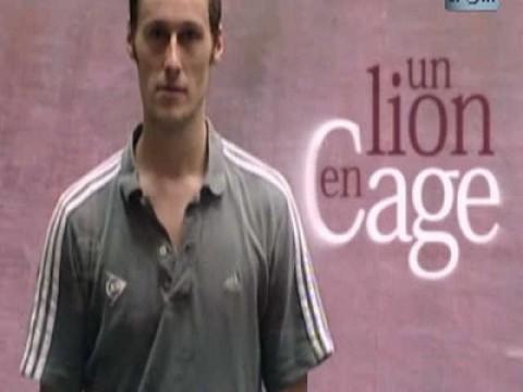 Un lion en cage