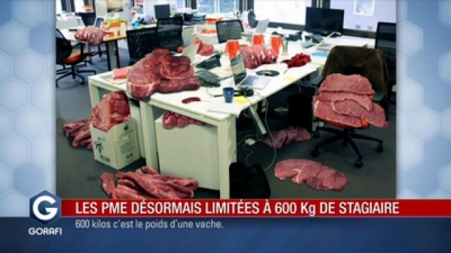 Les PME désormais limitées à 600 kg de stagiaires