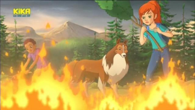 Forest Fire!