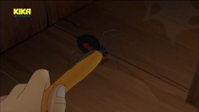 Spider Bite!