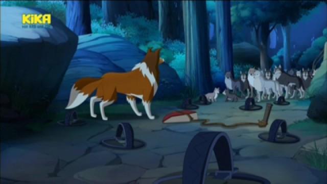 Night of the Wolves
