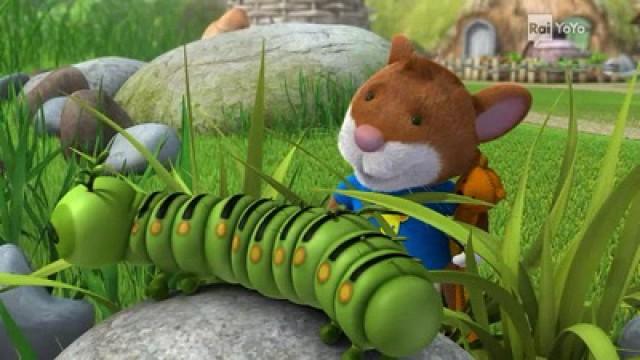 A pet for Tip