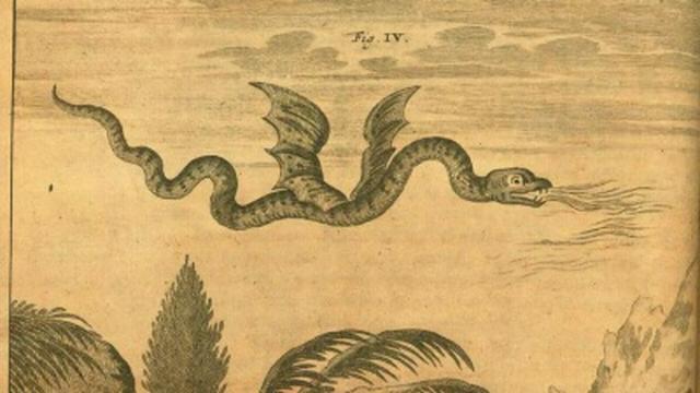 Tatzelwurm