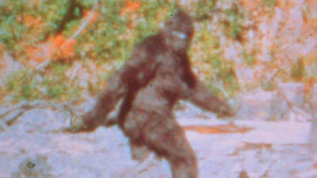 Bigfoot