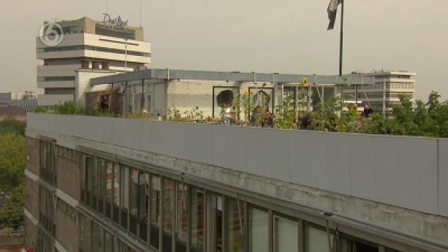 Eetbare Planten Kwekers