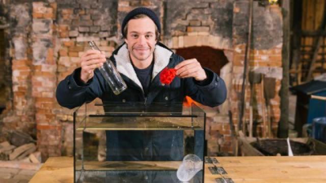 Eine Flasche in der Mitte zerteilen