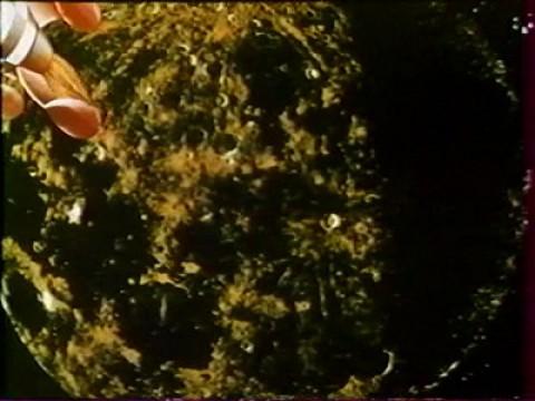 Lunar Landing