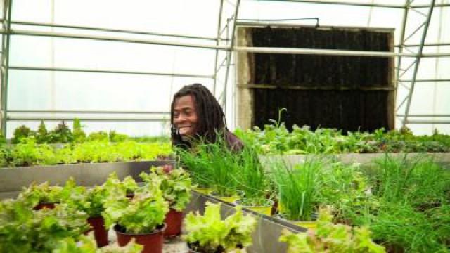 Dubai Sustainability