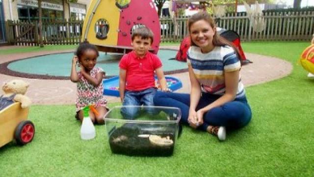 Giant African Land Snail